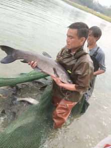 廣西玉林市陸川縣水產(chǎn)養(yǎng)殖協(xié)會 商會 成立在即