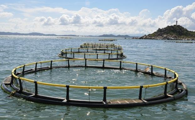 水產(chǎn)養(yǎng)殖賺錢前景,發(fā)財致富指日可待-牧之驕