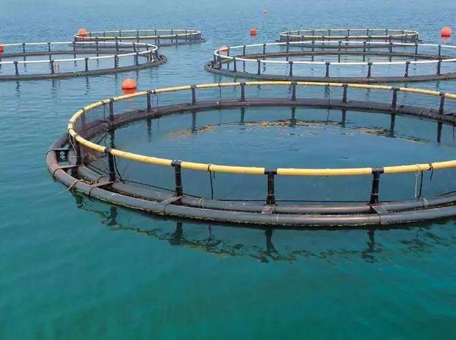 高考放榜!大廠大裁員,水產(chǎn)企業(yè)瘋狂搶人!年薪百萬(wàn)不是夢(mèng)!填志愿別錯(cuò)過(guò)了水產(chǎn)專業(yè)