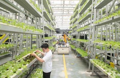 養(yǎng)魚(yú)不換水 種菜不施肥