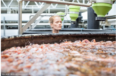 水產(chǎn)養(yǎng)殖學(xué)的就業(yè)前景怎么樣?詳解行業(yè)環(huán)境與發(fā)展前景