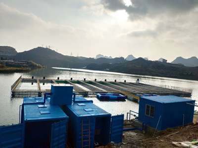 水產(chǎn)養(yǎng)殖知識(shí)之斜管蟲(chóng)病介紹