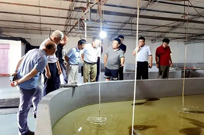 【熱點】山東省科協助力創新驅動發展行動走進無棣縣現代海洋漁業協同創新基地