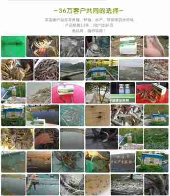 池塘養(yǎng)蝦的水產(chǎn)益生菌哪里能買到多少錢