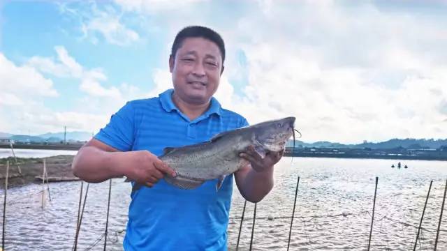 養殖、加工、銷售一條龍!這個基地養出來的叉尾鮰全程可溯源,大受市場歡迎!