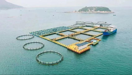 高水平建設&ldquo;深藍糧倉&rdquo; 農(nóng)科集團擬投資20億元打造深遠海養(yǎng)殖平臺
