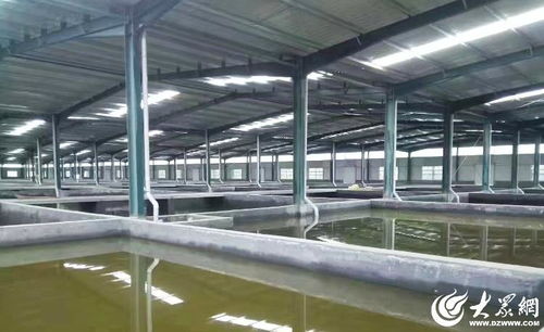 菏澤 水產綠色健康養殖 五大行動 助推漁業養殖轉型升級