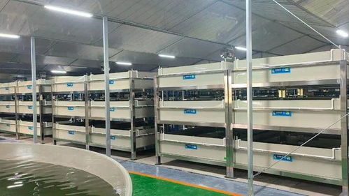 今年養啥最賺錢 deepseek和聯塑帶你揭秘水產養殖新風口