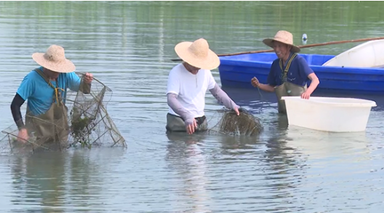 市創新發展中心:科技助農 推進水產產業鏈綠色發展