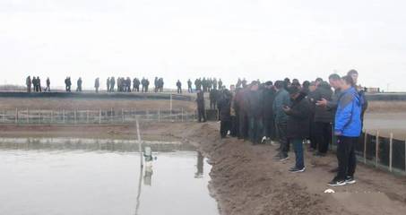 火爆!現(xiàn)場(chǎng)定苗8000斤,十幾年扣蟹養(yǎng)殖戶(hù):瑞灃苗,良心苗,豐收苗!