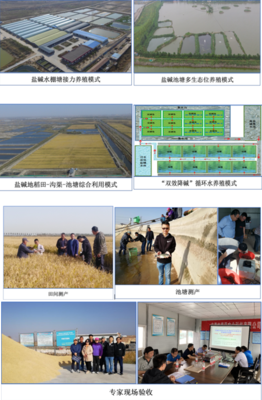 中國水產(chǎn)科學研究院東海所牽頭的藍色糧倉重點專項課題&ldquo;鹽堿水質綜合改良調控技術研發(fā)與養(yǎng)殖模式構建&rdquo;開展2020年度現(xiàn)場驗收