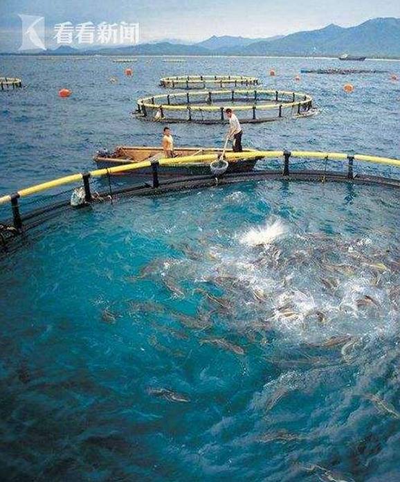 上海水產(chǎn)科學(xué)研究院研發(fā)深遠(yuǎn)海養(yǎng)殖工船與農(nóng)家樂(lè)休閑觀(guān)光服務(wù)的融合探索