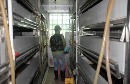 科技賦能生態養殖 茂名星火水產工廠化仿生態黃喉擬水龜養殖技術探索